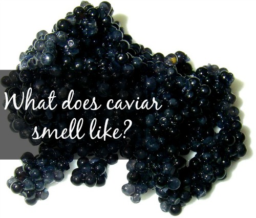 13 things you didnt know about caviar   food republic
