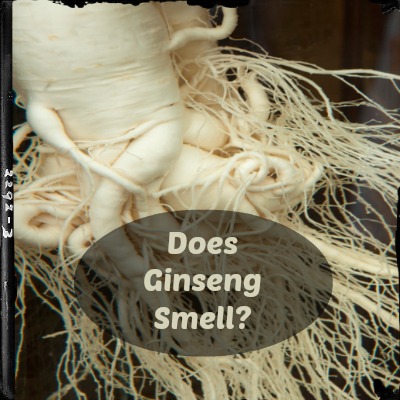 what does ginseng smell like