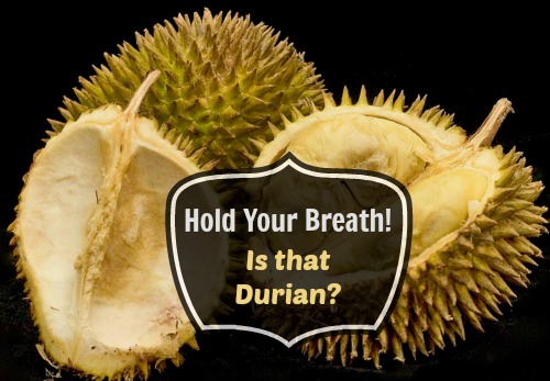 what does durian smell like
