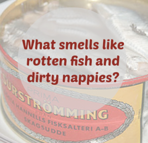 What does Surströmming smell like
