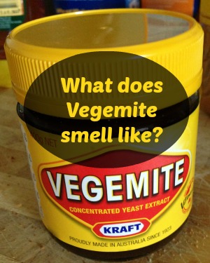 what does vegemite smell like