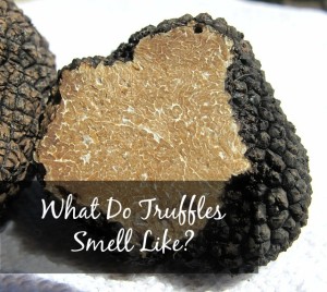 truffles smell