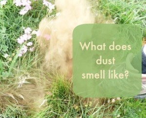 dust smell like
