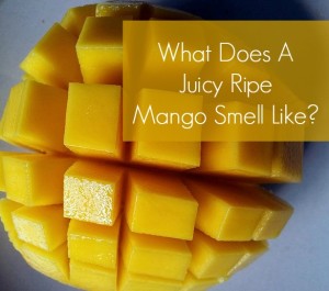mango smell